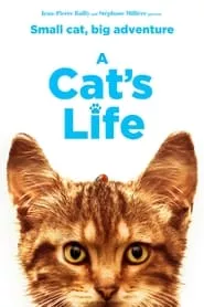 A Cat’s Life (2023) A Cat’s Life (2023)