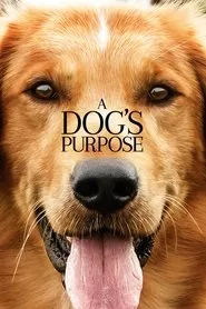 A Dog’s Purpose (2017) A Dog’s Purpose (2017)