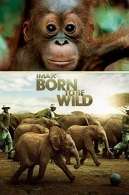 Born to Be Wild (2011) Born to Be Wild (2011)