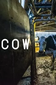 Cow (2022) Cow (2022)