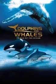 IMAX Dolphins and Whales: Tribes of the Ocean (2008) IMAX Dolphins and Whales: Tribes of the Ocean (2008)