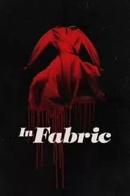 In Fabric (2018) In Fabric (2018)
