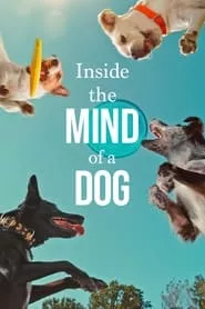 Inside the Mind of a Dog (2024) Inside the Mind of a Dog (2024)