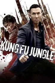 Kung Fu Jungle (2014) Kung Fu Jungle (2014)