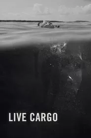 Live Cargo (2016) Live Cargo (2016)
