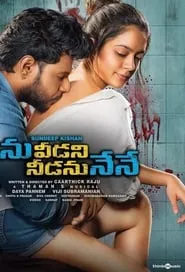 Ninu Veedani Needanu Nene (2019) Ninu Veedani Needanu Nene (2019)