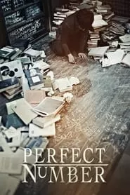 Perfect Number (2012) Perfect Number (2012)