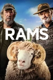 Rams (2020) Rams (2020)