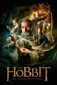 The Hobbit: The Desolation of Smaug (2013) The Hobbit: The Desolation of Smaug (2013)