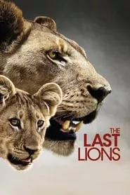 The Last Lions (2011) The Last Lions (2011)