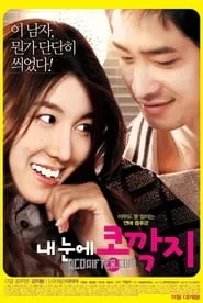 The Relation of Face, Heart and Love (2009) The Relation of Face, Heart and Love (2009)