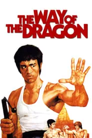 The Way of the Dragon (1972) The Way of the Dragon (1972)