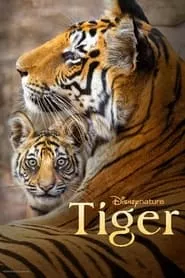 Tiger (2024) Tiger (2024)