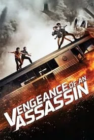 Vengeance of an Assassin (2014) Vengeance of an Assassin (2014)