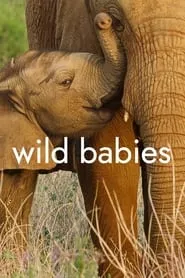 Wild Babies (2022) Wild Babies (2022)