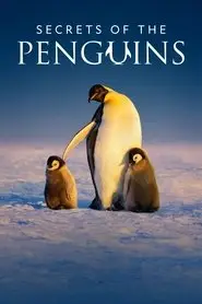 Secrets of the Penguins (2025) Secrets of the Penguins (2025)